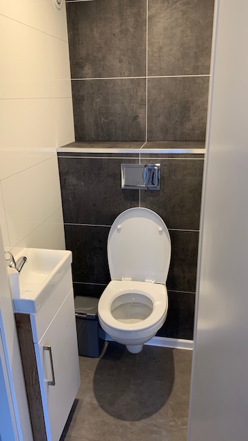 Luxe hang toilet